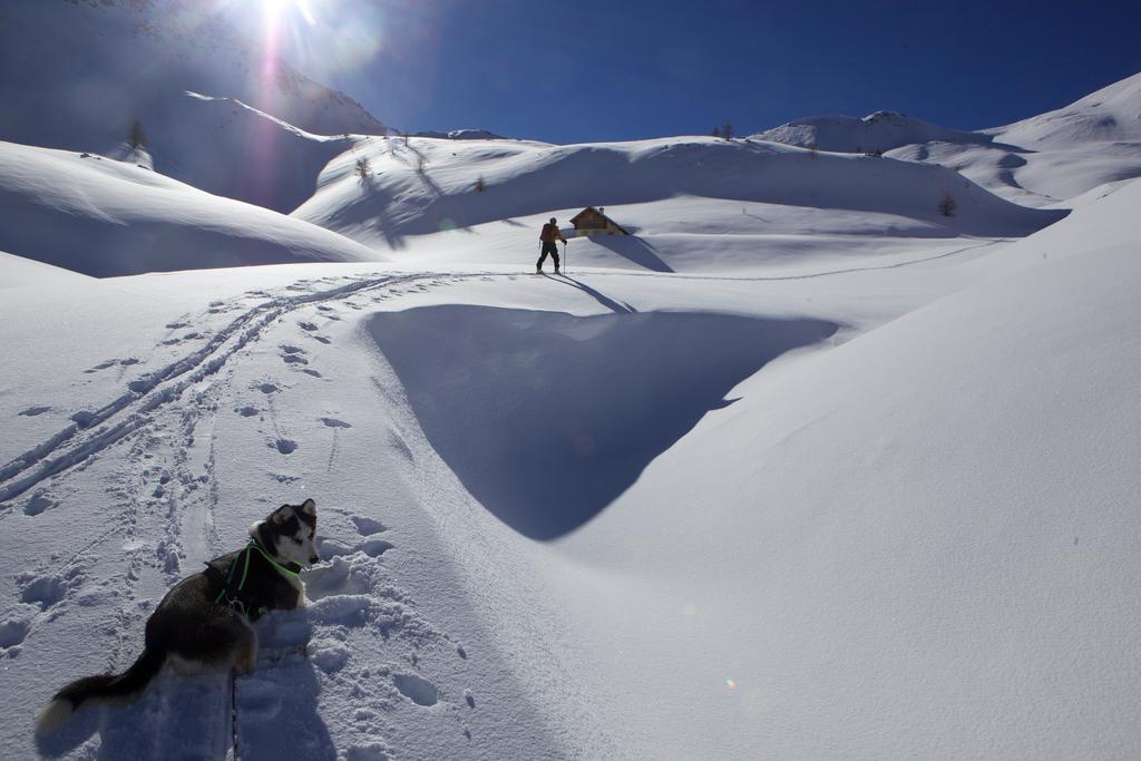 آرفيو Le Chalet Viso المظهر الخارجي الصورة