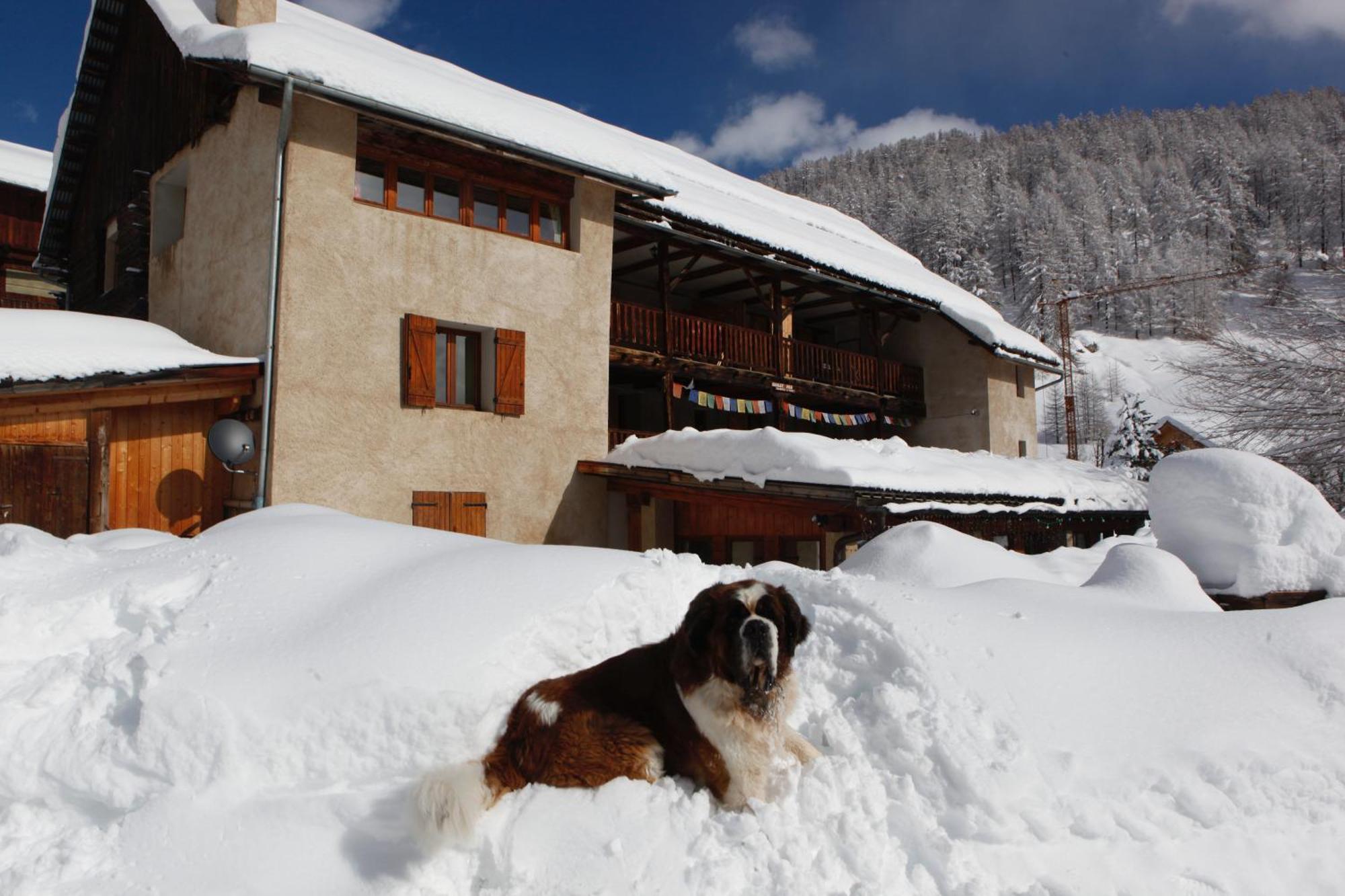 آرفيو Le Chalet Viso المظهر الخارجي الصورة